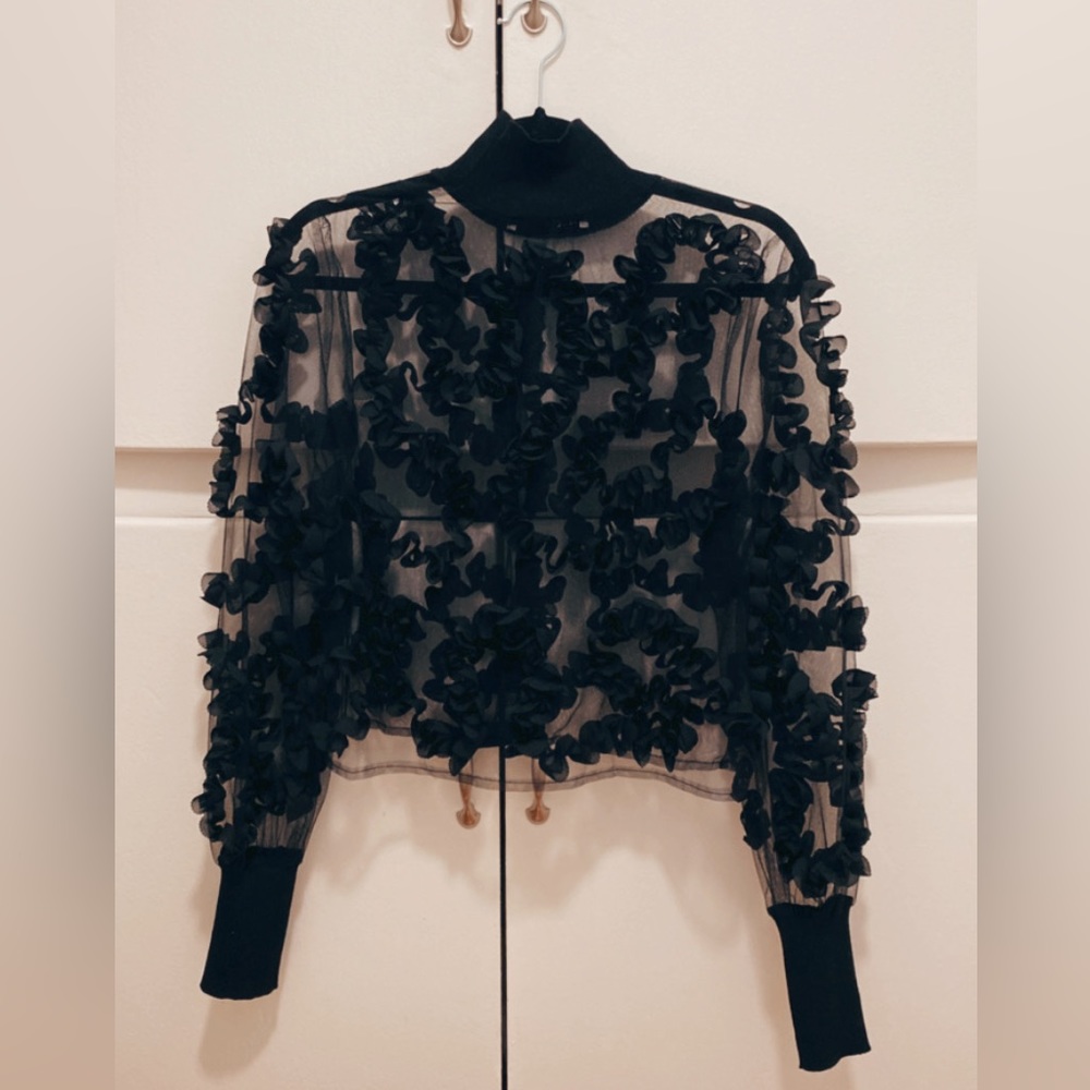 Zara crop sheer long sleeve in S